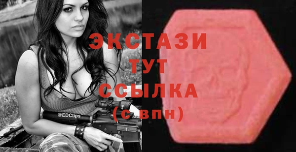 гидра Алексеевка