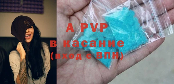 стаф Алзамай