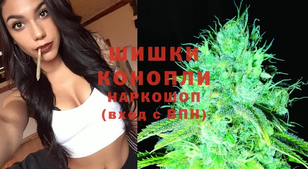 гидра Алексеевка