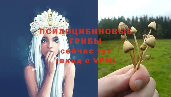 трава Арсеньев