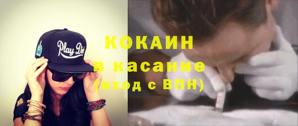 стаф Алзамай