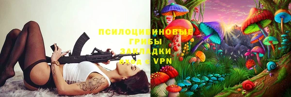 гидра Алексеевка