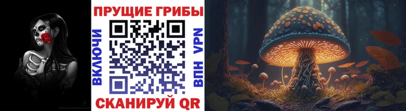 Галлюциногенные грибы Psilocybe  shop официальный сайт  Мамоново  магазин продажи наркотиков 